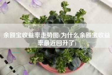 余额宝收益率走势图(为什么余额宝收益率最近回升了)
