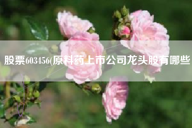 股票603456(原料药上市公司龙头股有哪些)