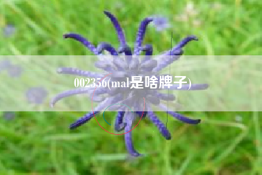 002356(mal是啥牌子)