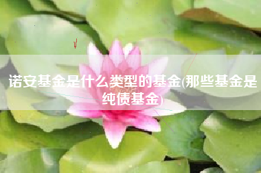 诺安基金是什么类型的基金(那些基金是纯债基金)