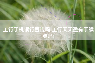工行手机银行要钱吗(工行天天盈有手续费吗)