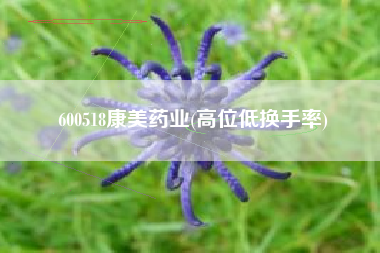 600518康美药业(高位低换手率)