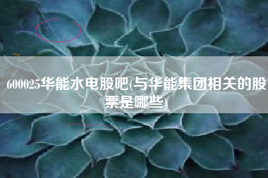 600025华能水电股吧(与华能集团相关的股票是哪些)