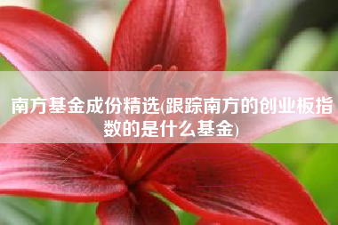 南方基金成份精选(跟踪南方的创业板指数的是什么基金)