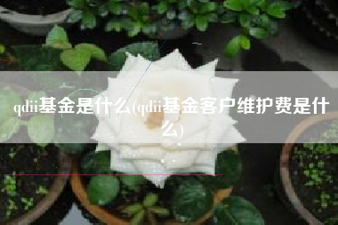 qdii基金是什么(qdii基金客户维护费是什么)