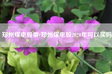 郑州煤电股票(郑州煤电股2020年可以买吗)