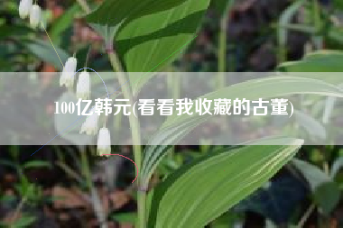 100亿韩元(看看我收藏的古董)