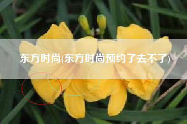 东方时尚(东方时尚预约了去不了)
