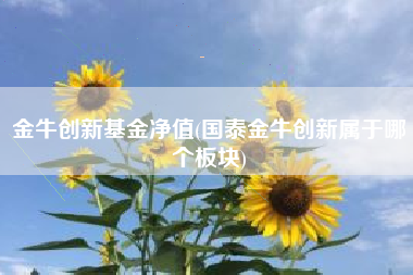 金牛创新基金净值(国泰金牛创新属于哪个板块)