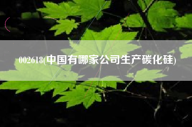 002618(中国有哪家公司生产碳化硅)