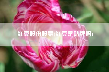 红豆股份股票(红豆是贴牌吗)