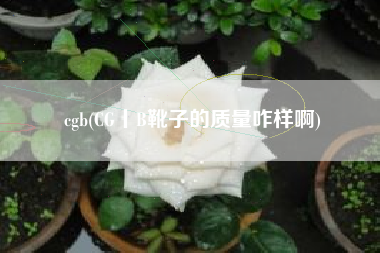 cgb(CG丨B靴子的质量咋样啊)