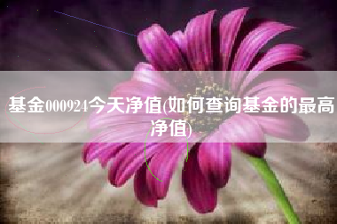 基金000924今天净值(如何查询基金的最高净值)