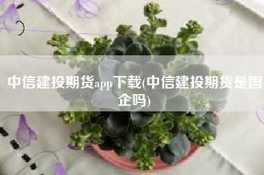 中信建投期货app下载(中信建投期货是国企吗)