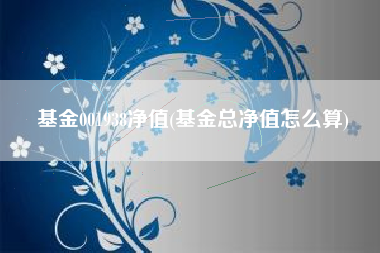 基金001938净值(基金总净值怎么算)