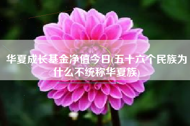 华夏成长基金净值今日(五十六个民族为什么不统称华夏族)