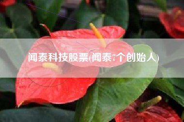闻泰科技股票(闻泰7个创始人)