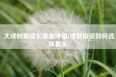 大成创新成长基金净值(理财投资如何选择基金)