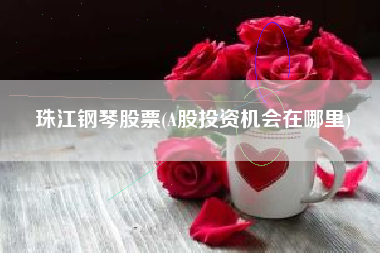 珠江钢琴股票(A股投资机会在哪里)