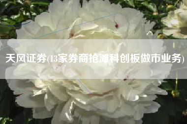 天风证券(13家券商抢滩科创板做市业务)