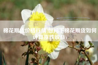 棉花期货价格行情(想问下棉花期货如何计算涨跌收益)