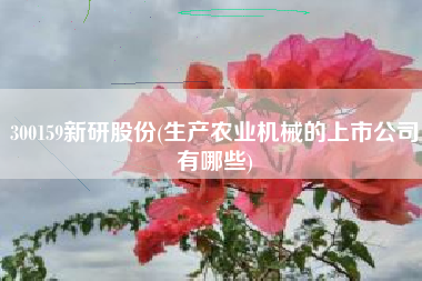 详细阅读:300159新研股份(生产农业机械的上市公司有哪些) 300159新研股份(生产农业机械的上市公司有哪些)