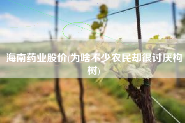 海南药业股价(为啥不少农民却很讨厌构树)