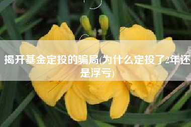 揭开基金定投的骗局(为什么定投了2年还是浮亏)