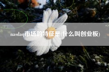 nasdaq市场的特征是(什么叫创业板)