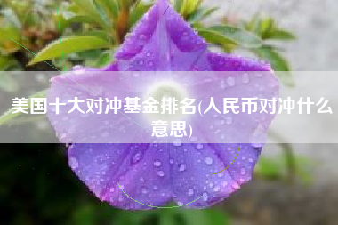 美国十大对冲基金排名(人民币对冲什么意思)