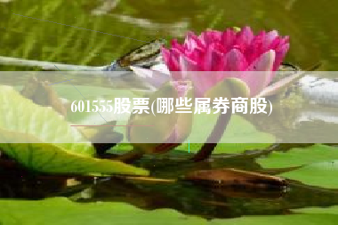 601555股票(哪些属券商股)