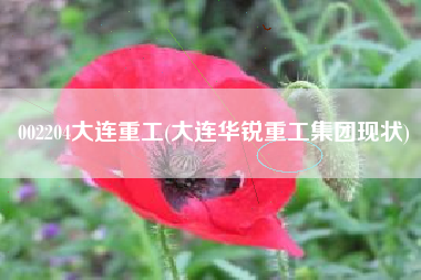 002204大连重工(大连华锐重工集团现状)