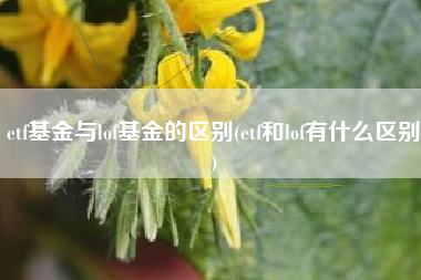etf基金与lof基金的区别(etf和lof有什么区别)