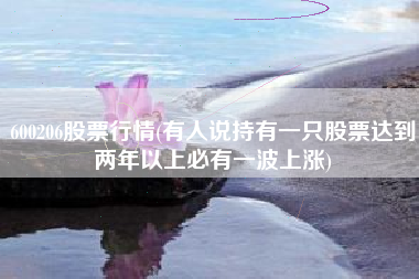 600206股票行情(有人说持有一只股票达到两年以上必有一波上涨)