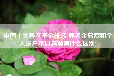 中国十大养老基金排名(养老金总额和个人账户本息总额有什么区别)