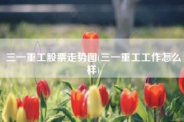 三一重工股票走势图(三一重工工作怎么样)