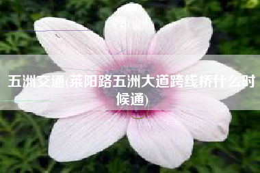 五洲交通(莱阳路五洲大道跨线桥什么时候通)