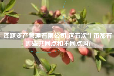 泽源资产管理有限公司(这五次牛市都有哪些共同点和不同点吗)