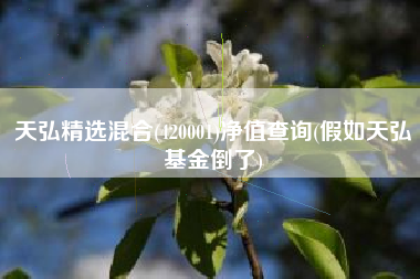 天弘精选混合(420001)净值查询(假如天弘基金倒了)