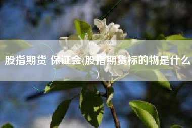 股指期货 保证金(股指期货标的物是什么)