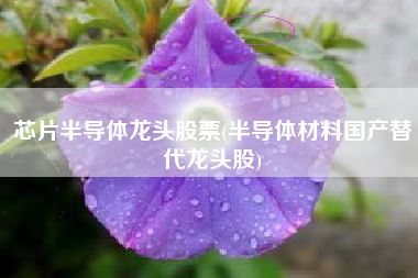芯片半导体龙头股票(半导体材料国产替代龙头股)