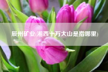 辰州矿业(湘西十万大山是指哪里)