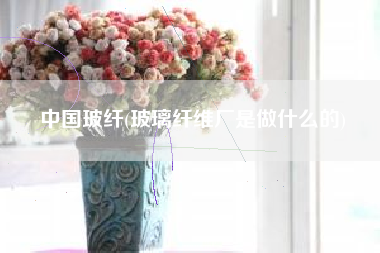 中国玻纤(玻璃纤维厂是做什么的)