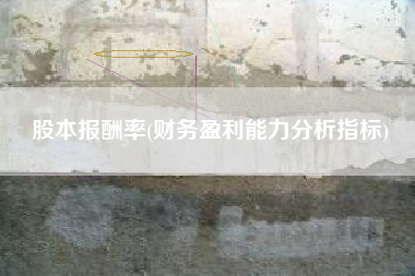 股本报酬率(财务盈利能力分析指标)