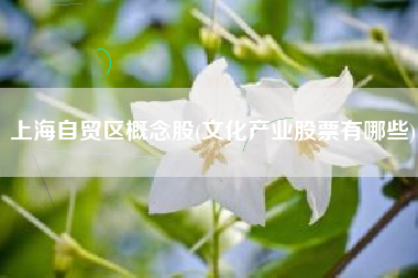 上海自贸区概念股(文化产业股票有哪些)