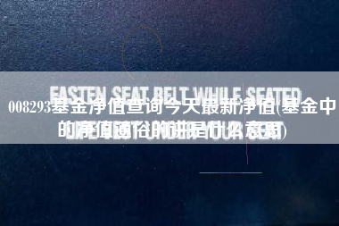 008293基金净值查询今天最新净值(基金中的净值通俗的讲是什么意思)