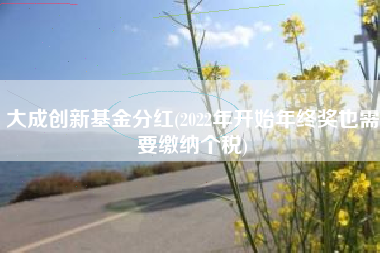 大成创新基金分红(2022年开始年终奖也需要缴纳个税)