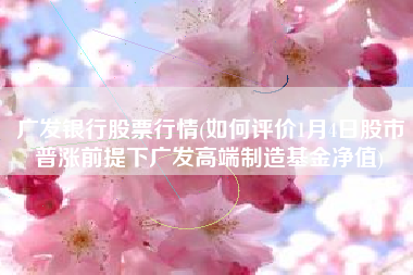 广发银行股票行情(如何评价1月4日股市普涨前提下广发高端制造基金净值)