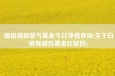 国投瑞银景气基金今日净值查询(关于白银有哪些基金比较好)