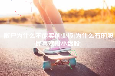 散户为什么不能买创业板(为什么有的股民喜欢投小盘股)